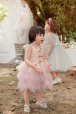 ChaikoHouse Swan1 Pink Princess Dress for Girls| Pre-order