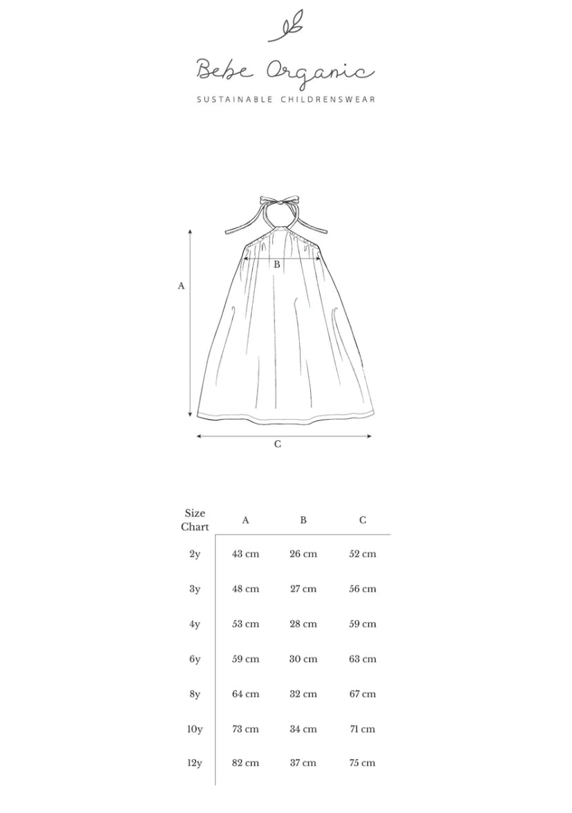 Eva Embroidered Muslin Dress