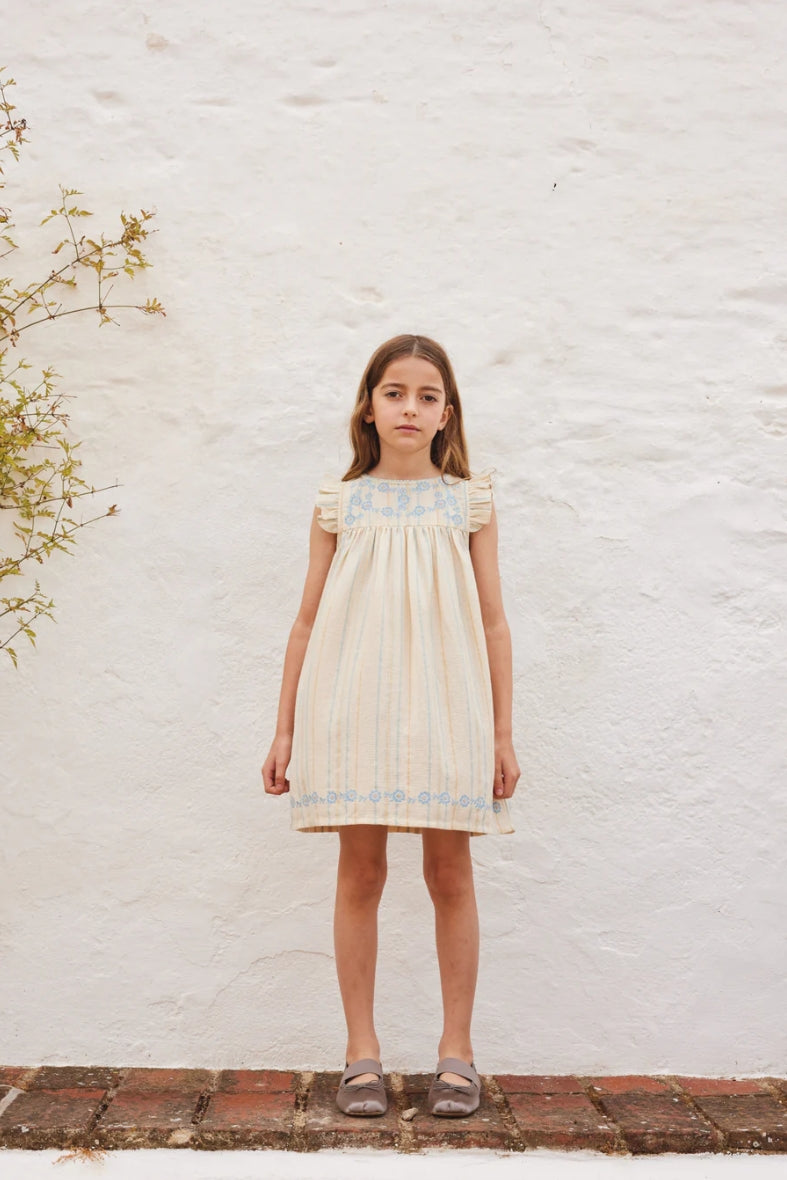 Lena Embroidered Dress
