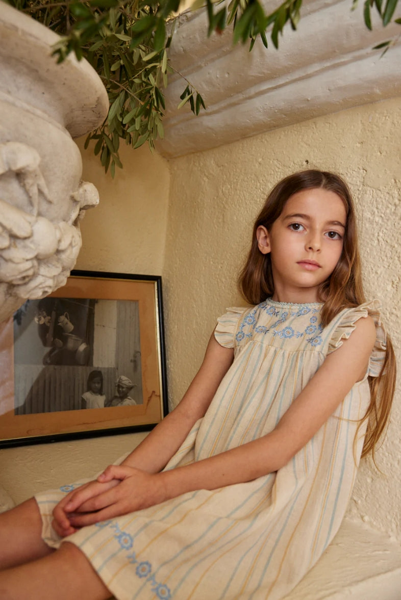 Lena Embroidered Dress