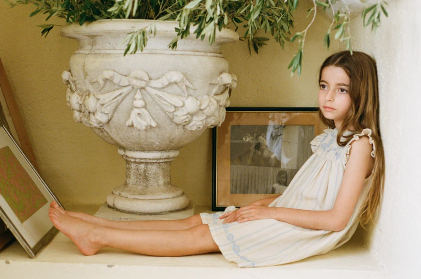 Lena Embroidered Dress