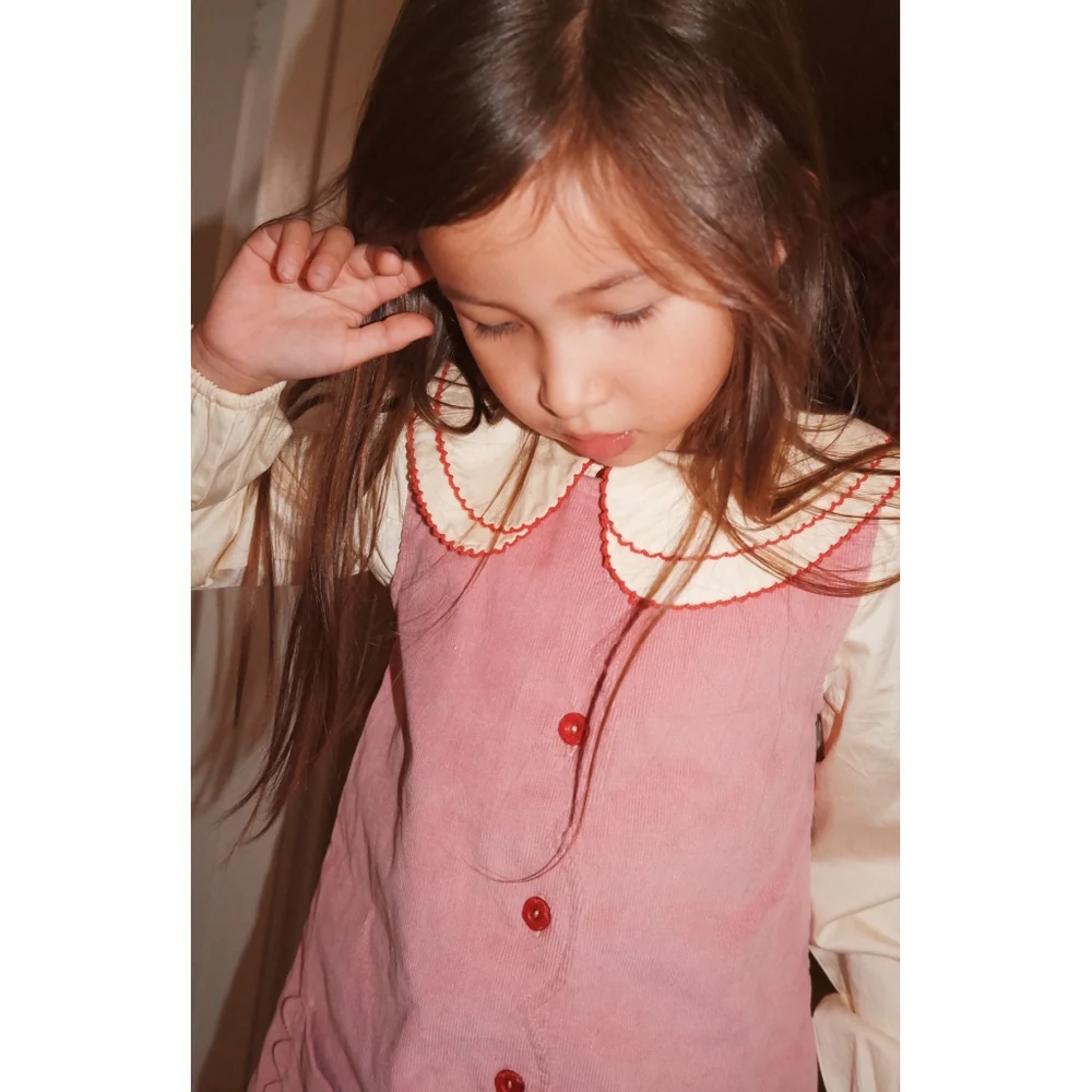 Mia Dress – Velvet Rose
